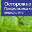 Профилактика  клещевого энцефалита - Заинский район