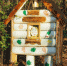Владимир Манушкин обустроил сказочную поляну в Заинском районе - Заинск-информ