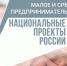 Предприниматели Татарстана получают 100% услуг по нацпроекту МСП в цифровом виде - Заинский район
