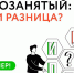 Преимущества статуса ИП на НПД перед самозанятостью - Заинский район