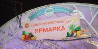29 декабря в Татарстане пройдут заключительные сельхозярмарки этого года - Заинск-информ