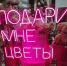 Мошенники перед 14 февраля создают фейковые сайты для кражи персональных данных - Новости Заинска