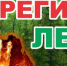 Штормовое предупреждение о высокой и чрезвычайной пожарной опасности лесов на территории Республики Татарстан - Заинский район