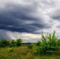 Консультация – предупреждение  об интенсивности метеорологических явлений с 21 час. 7 августа до 21 час. 8 августа 2025 г. - Заинский район