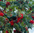 Сентябрь в Татарстане ожидается теплее обычного - Заинск-информ