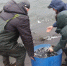 Живые очистители: зачем в Заинское водохранилище выпустили тысячи толстолобиков - Новости Заинска