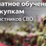 Бесплатное обучение для участников СВО в Татарстане: курсы и новые возможности - Заинск-информ